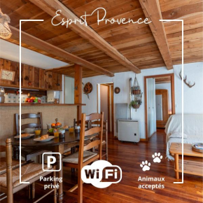 Esprit Provence - Jardin - Parking